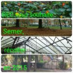 REC, réseau d'environnements créatifs