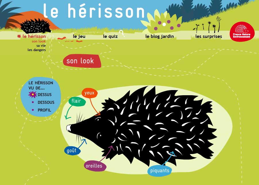 Le hérisson pour les enfants