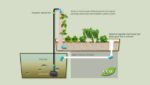 aquaponic-basil-tower-e1360496985896.jpg