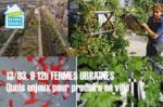 fermes-urbaines.jpg
