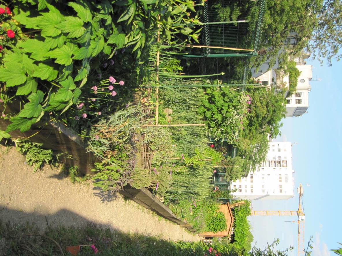 Vert-Tige