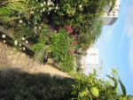 vignetteimg_2841.jpg