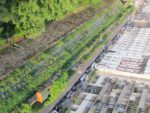vignetteimg_2854.jpg