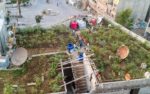 src.adapt.960.high.syria_gardens_hp.1431965443423.jpg