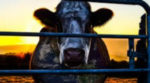 unnamed2-2.jpg