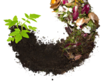 vancompost.png
