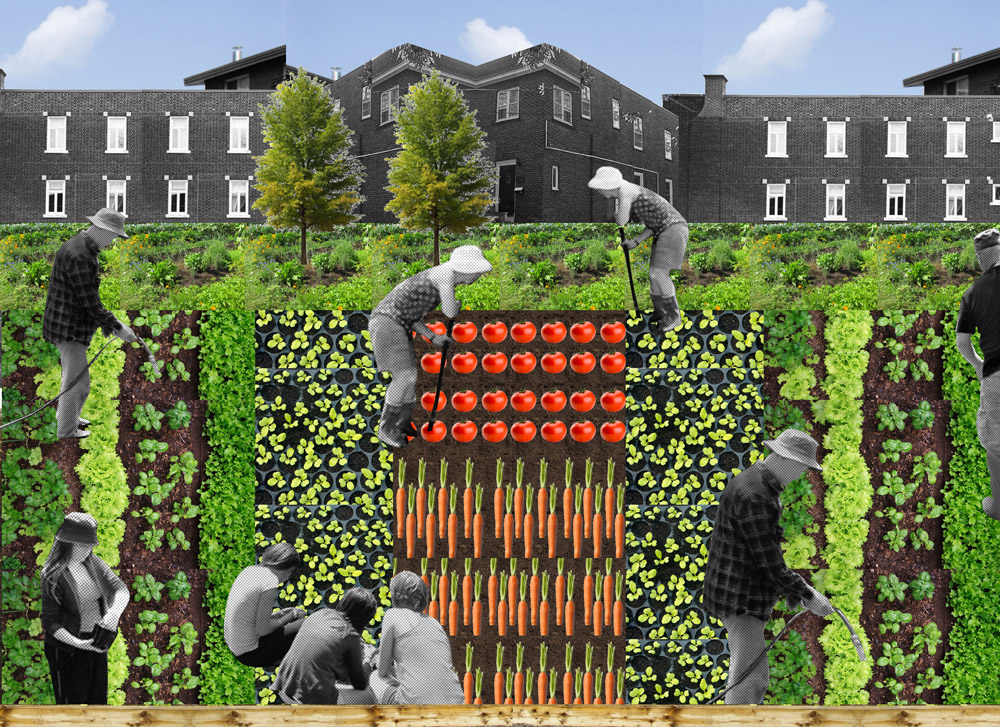 Quelle permaculture en ville ?