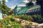 paris_bois_boulogne_serres_auteuil.jpg