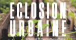sauge_-_eclosion_urbain.jpg