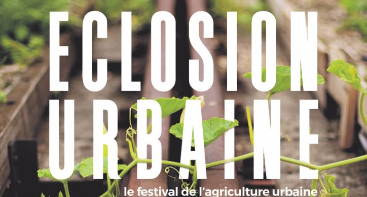 Eclosion urbaine – rencontre