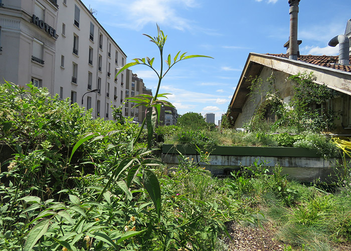 Ferme Urbaine de la REcyclerie