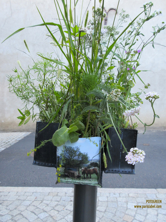 Atelier Potogreen