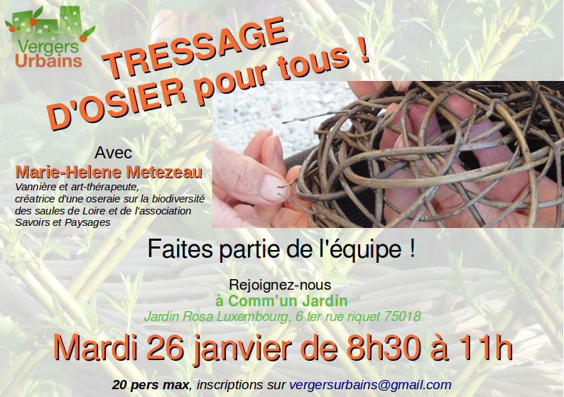 Atelier tressage d’osier