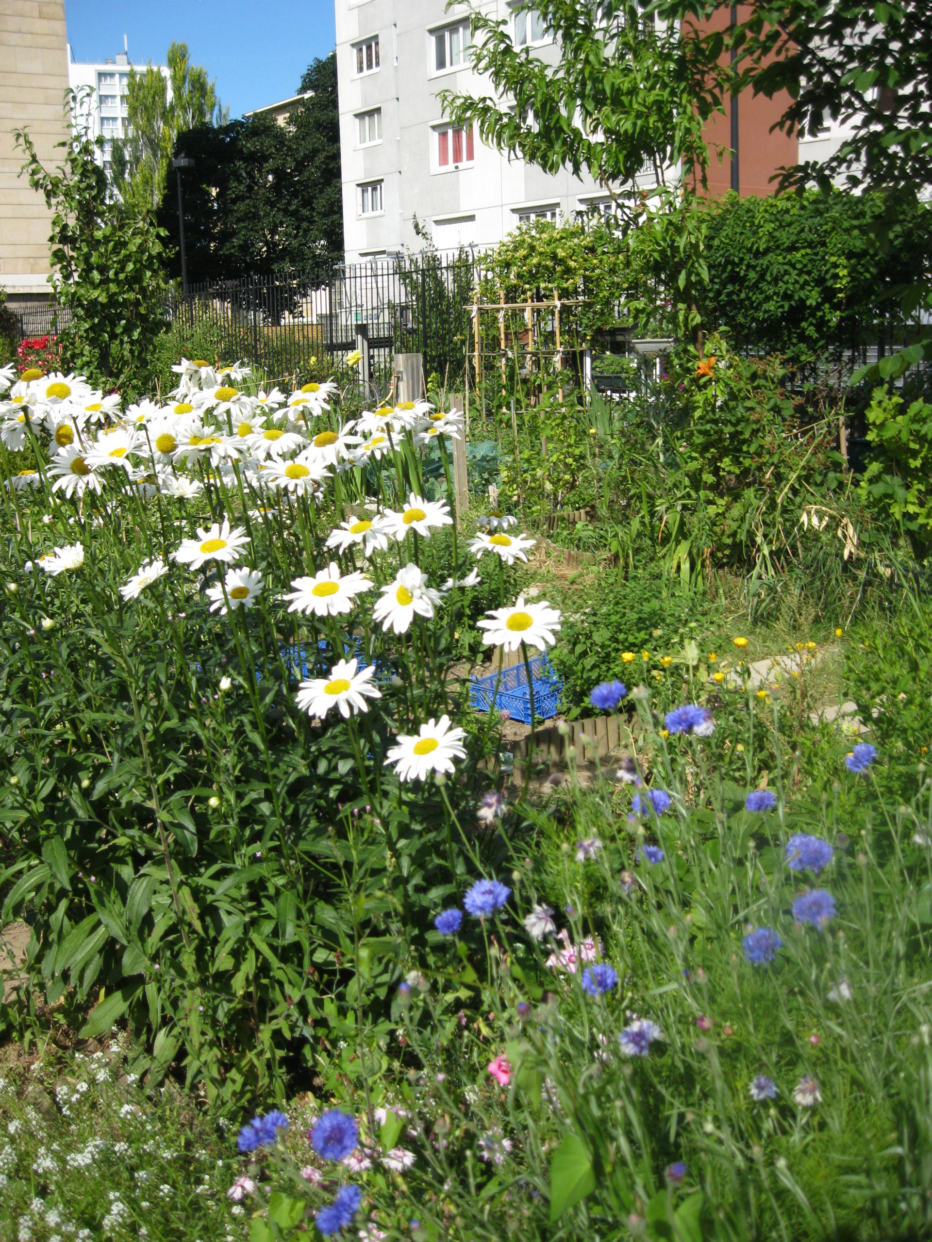 Jardin Couleurs et Senteurs