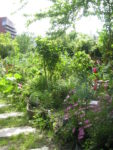 img_7583-2.jpg