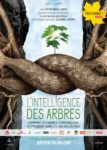 affiche_intelligence_des_arbres.jpg