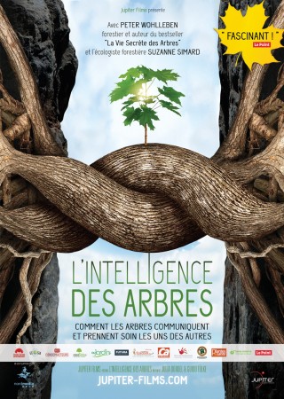 L’intelligence des arbres
