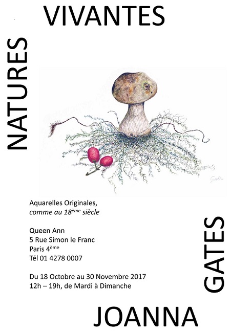 Exposition Natures Vivantes